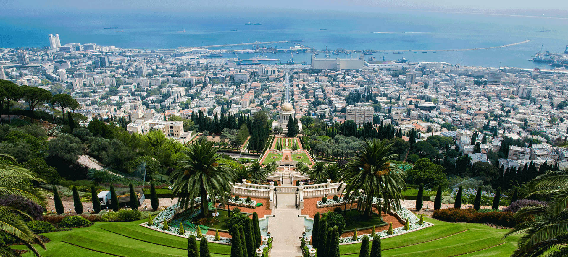 Connect and Cultivate: Building Friendships in Israel