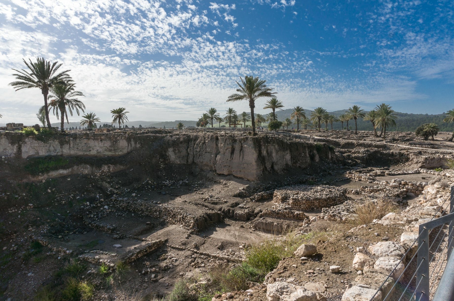 Day 4 - Journey to Nazareth and Beyond.