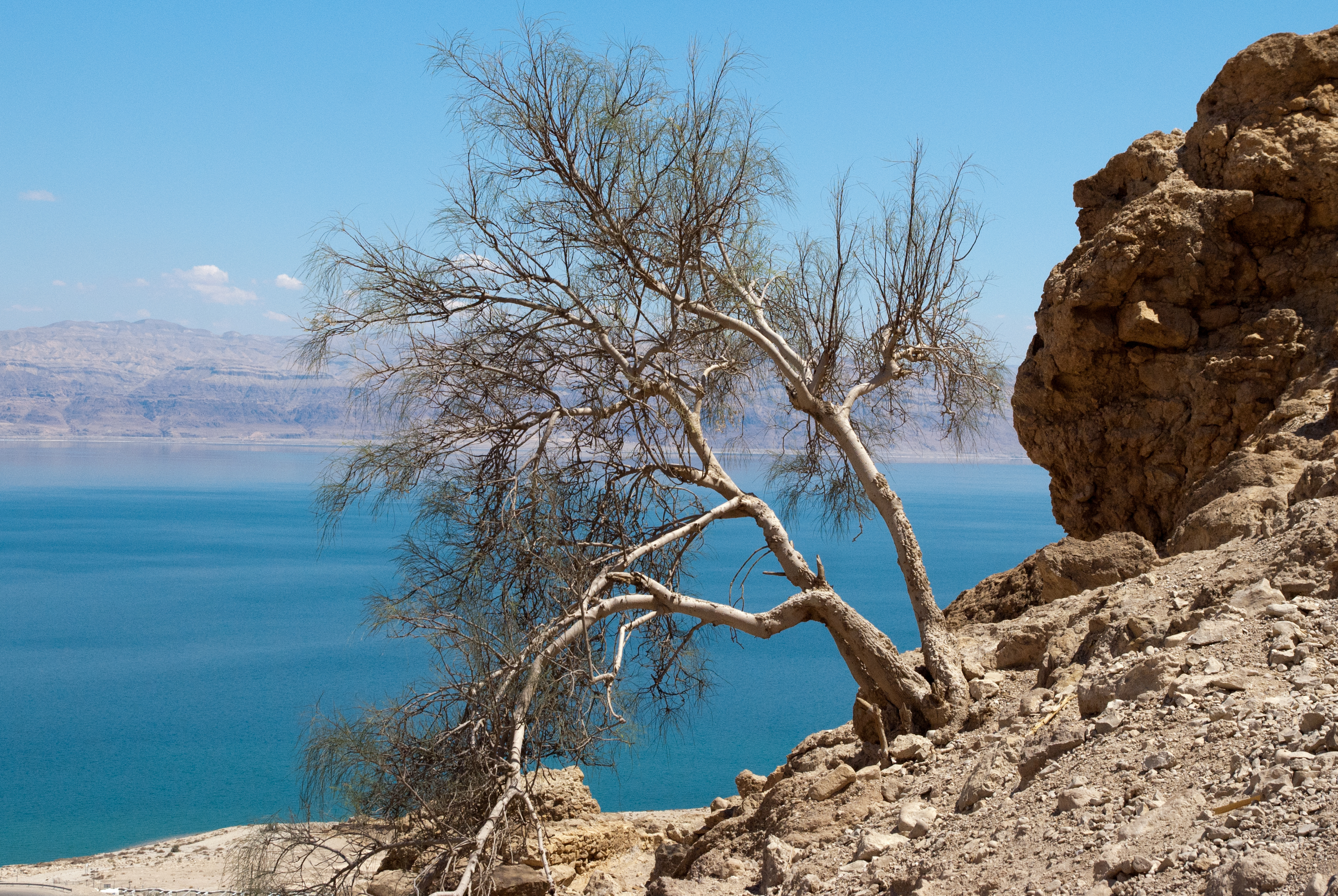 Day 10 - Masada and Jericho