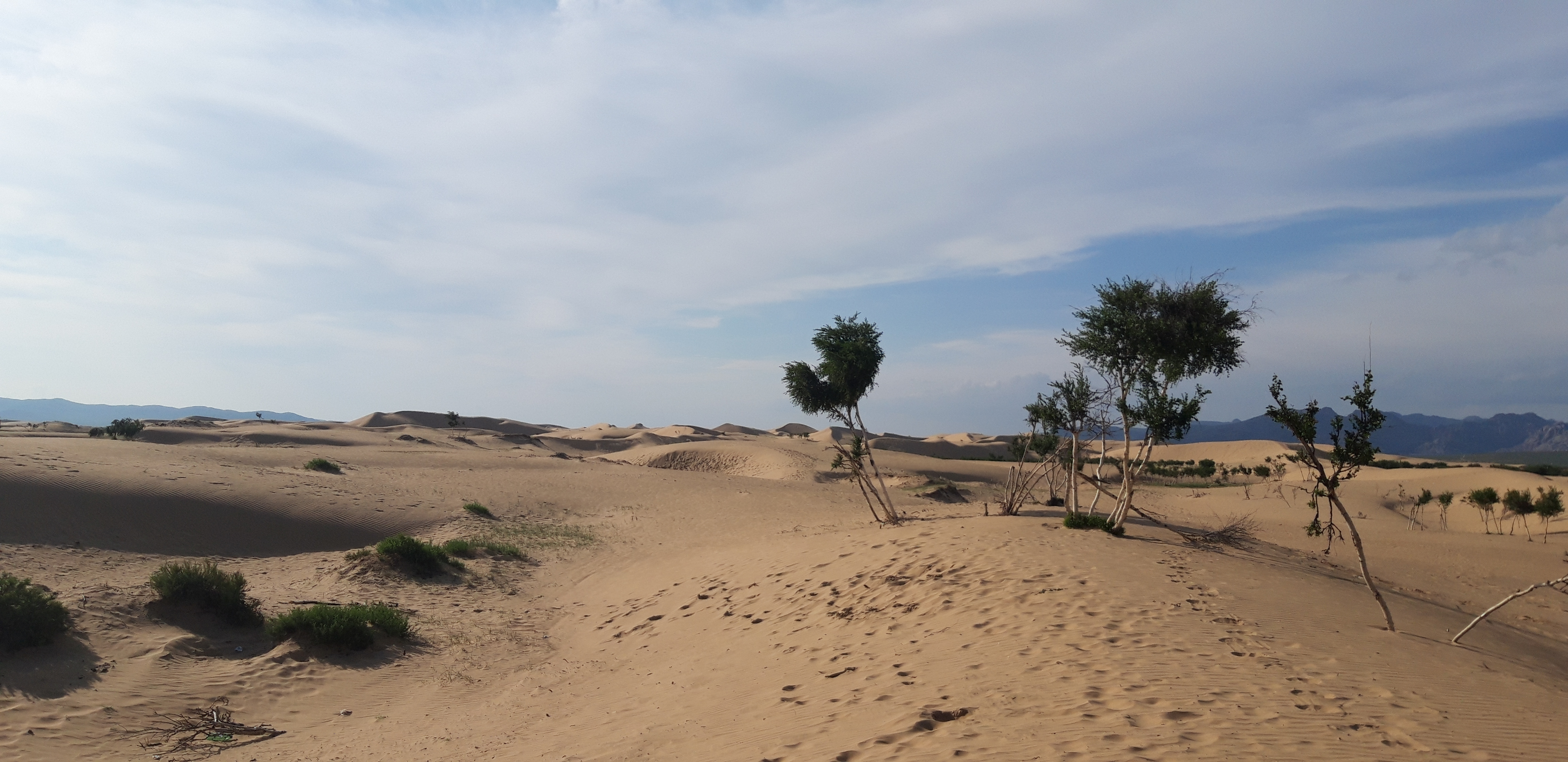 Khongor sand dune.