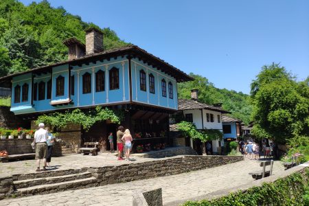 Skip the Line: Tour in Open Air Ethnographic Museum ETAR + ticket