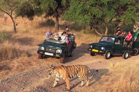 7-Days Golden Triangle with Ranthambore Tour