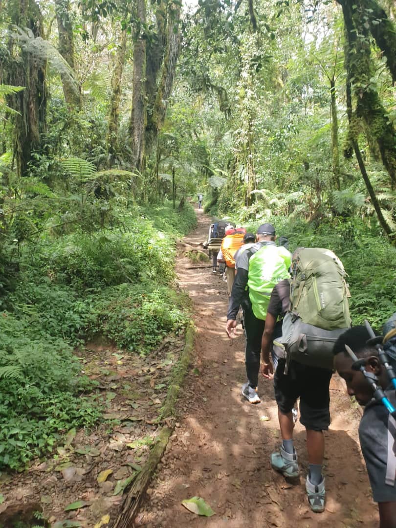 Day 1: Arusha/Moshi – Marangu Gate – Mandara Hut