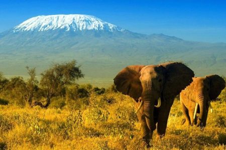 2-Day Amboseli safari from Nairobi