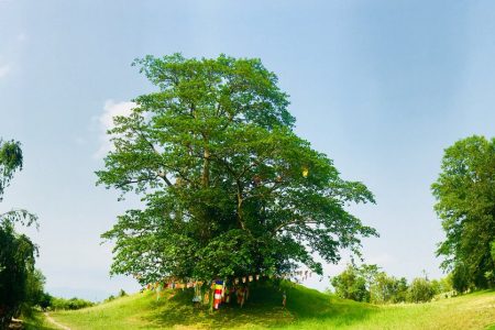 Major Buddhist Sites including Ramgram Stupa tour in Nepal