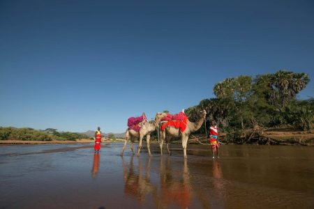 4 Days – Samburu & Aberdares National Park Safari
