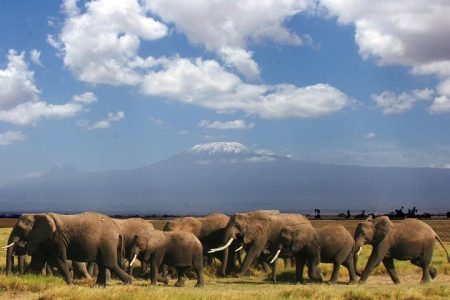 Overnight Safari- Amboseli National Park