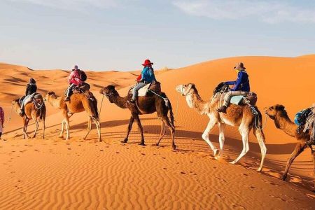 5 Days Private Tour from Fes to Marrakech via Merzouga Desert