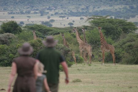 4-Day Nairobi & Aberdare National Park Safari