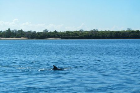 4-Day Diani Beach All Inclusive Getaway