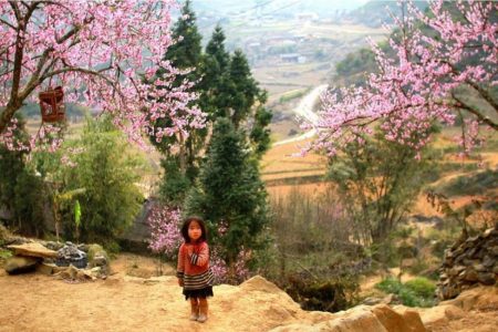 Sapa 3 Days 2 Nights Trekking Tour (2 Nights in Hotel) from Hanoi |English-Group tour