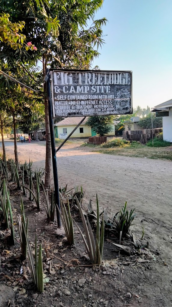 Day 1: Tarangire national park