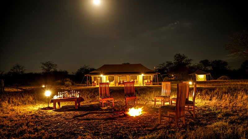 Day 5:SERENGETI NATIONAL PARK GAME DRIVE