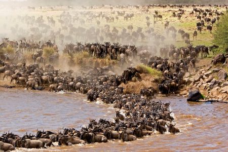 3 Days Private Maasai Mara Safari
