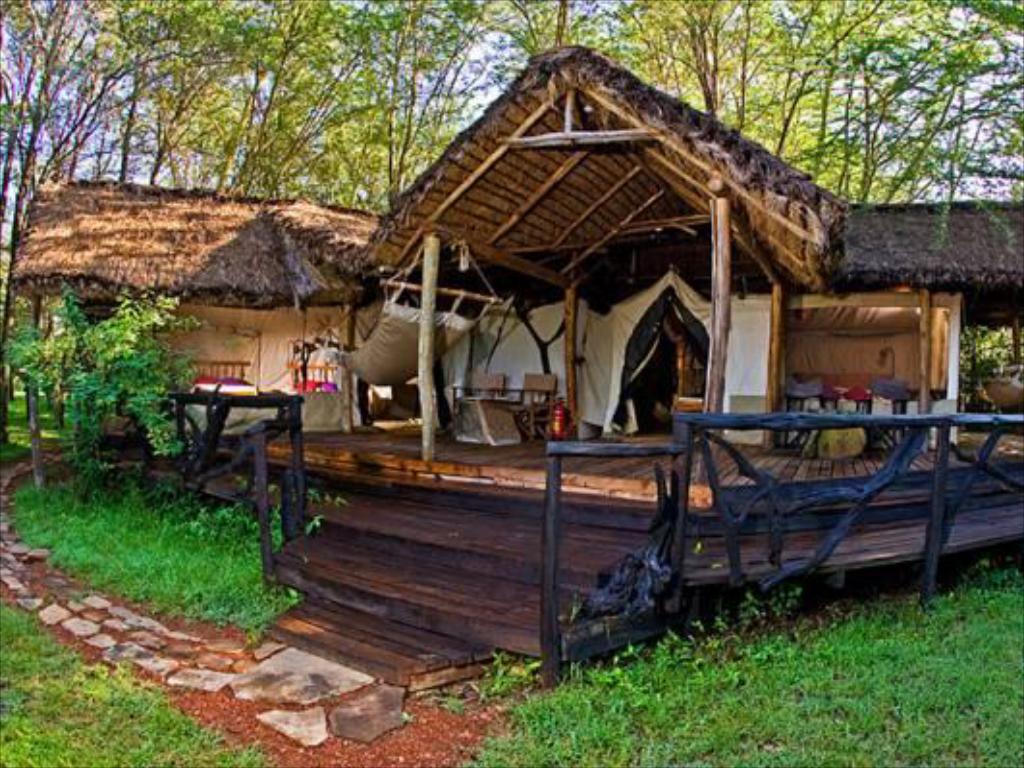 Day 3: Maasai Mara Game Reserve - Nairobi