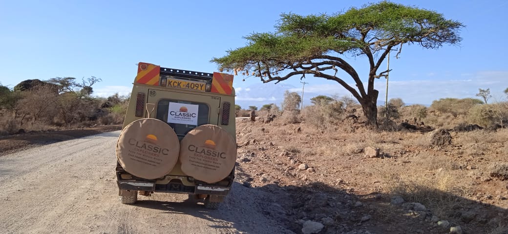 Day 7 : AMBOSELI NATIONAL PARK  – NAIROBI AIRPORT