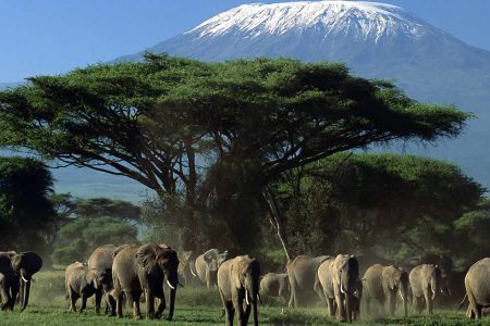 3 DAYS PRIVATE AMBOSELI NATIONAL PARK SAFARI