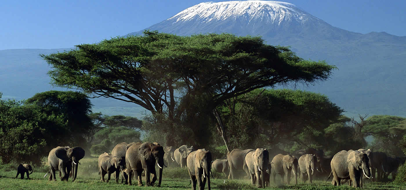 Day 1: Nairobi - Amboseli