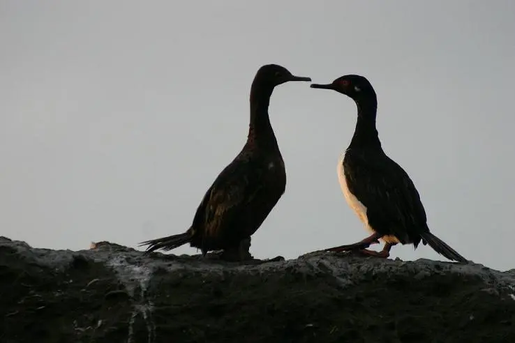 Day 3 From Buenos Aires to Trelew/ Puerto Madryn