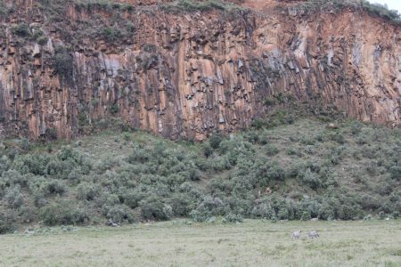 5-Day Safari in Maasai Mara, Lake Nakuru and Naivasha