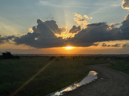  Full Day Game Drive in Maasai Mara
