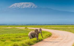 : Naivasha – Amboseli