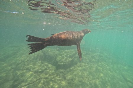 Galapagos Land Tour 5 Days ( 3 Islands)
