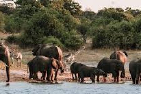 3 Day Chobe National Park Camping Safari
