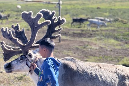 Tsaatan Reindeer & Khuvsgul Lake Tour