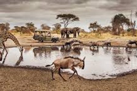 3 Days Safari Ngorongoro Crater and Serengeti National Park